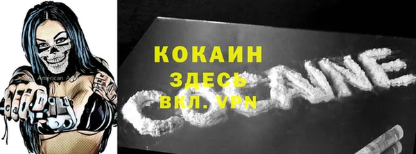 винт Абаза