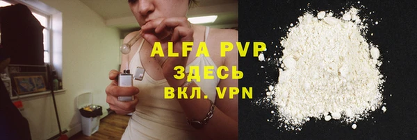 стаф Пересвет