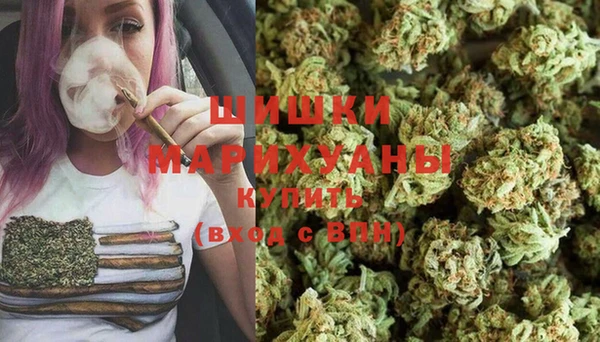 винт Абаза