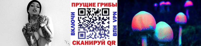 Галлюциногенные грибы Psilocybe  MEGA ONION  Пыталово 